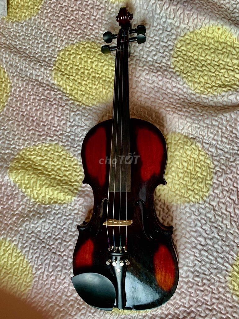 Đàn Violin của Ý âm thanh cực hay size 4/4