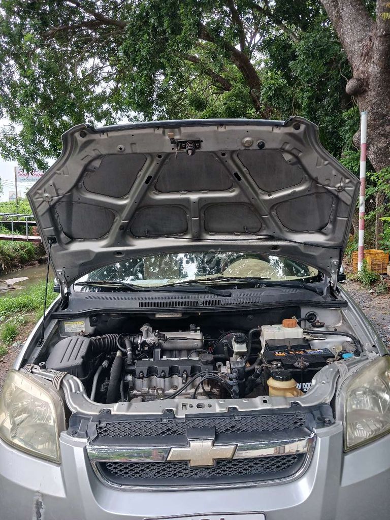 Ảnh số 7