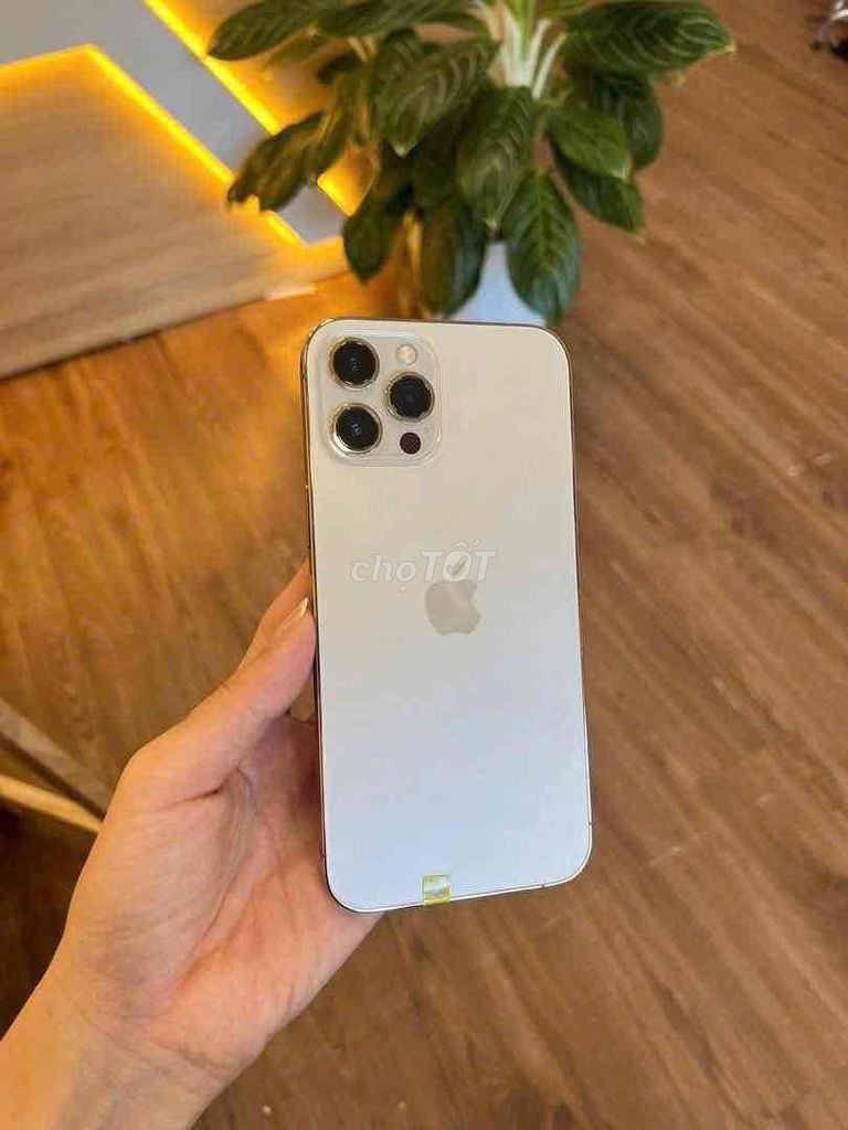 Apple iPhone 12 Pro Max 128GB Vàng Đã thay pin. Mua bán Điện thoại tại Huyện Trảng Bom Đồng Nai được đăng bởi Ngoc Dn hình 1