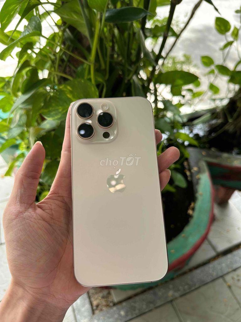 Apple iPhone 16 Promax 256GB Vàng Việt Nam Like Ne. Mua bán Điện thoại tại Quận Ngũ Hành Sơn Đà Nẵng được đăng bởi Trieu Le hình 1