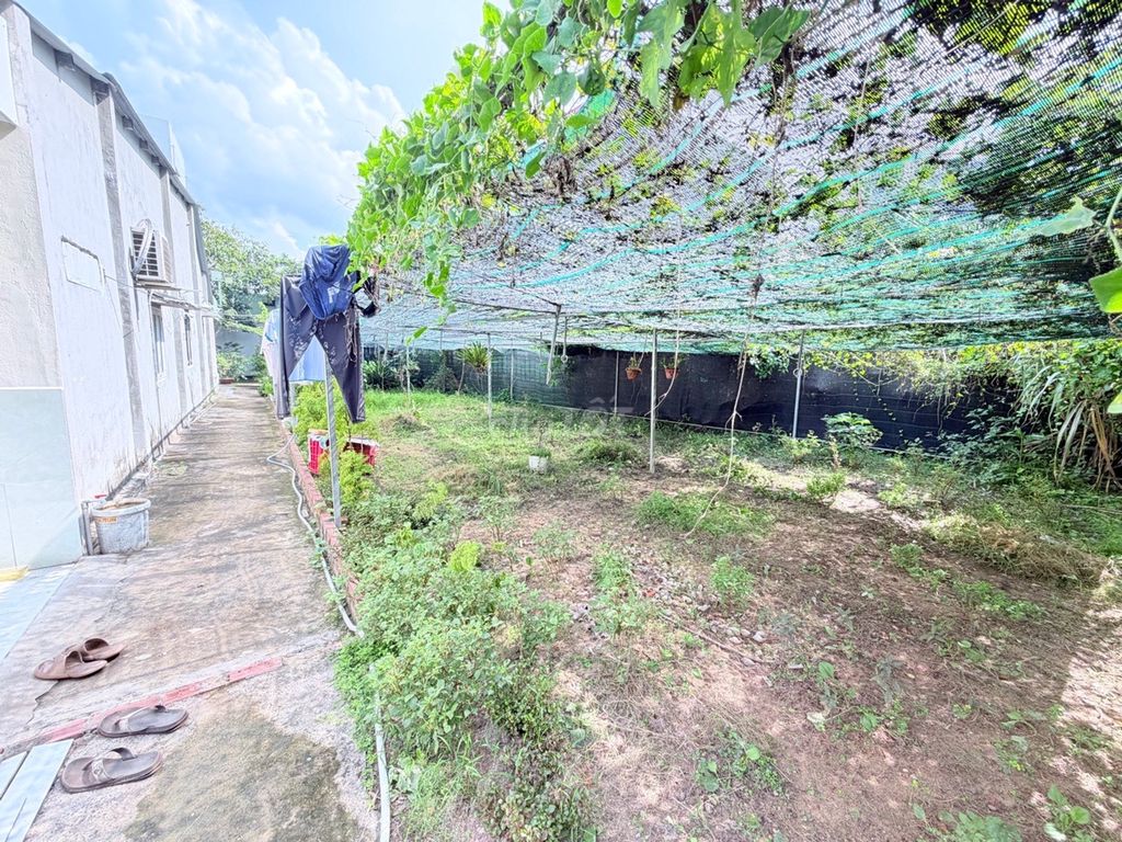 Đất Thổ Cư 208m2 Ngang 9m Chỉ 4.66 Tỷ Hẻm Xe Hơi Bình Hòa Bình Dương 