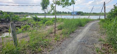 Bán gấp, hàng cực hiếm hơn 4.000m2 đất Bình Khánh, giá rẻ bèo 860K/m2. Mua bán đất tại Huyện Cần Giờ Tp Hồ Chí Minh được đăng bởi Nguyễn Hòa Khánh