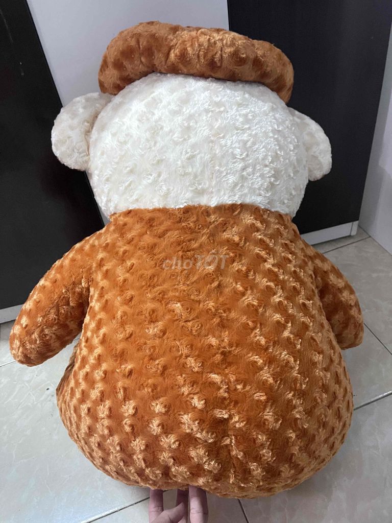 Gấu teddy 90cm có nón, chữ I Love You mới 95%