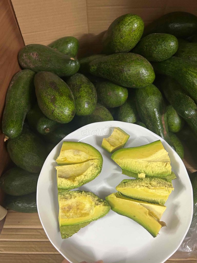 Bơ 034 Xanh 2-3 trái/kg. Mua bán Đồ ăn, thực phẩm và các loại khác tại Quận 12 Tp Hồ Chí Minh được đăng bởi Từ Thị Hoà Hiền hình 1