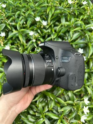 Canon 800D + Canon 18-55 IS STM