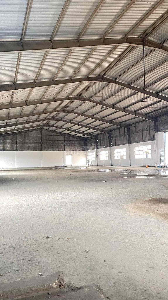 CHO THUÊ 5000m2/150tr Đức Hoà Long An .