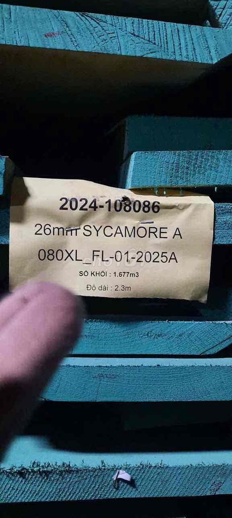 Gỗ xẻ Sycamore nội thất 16 tấm 2.2m. Mua bán Nội thất, đồ gia dụng khác tại Thành phố Biên Hòa Đồng Nai được đăng bởi Giangthienan hình 1