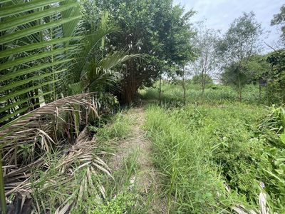 Bán mãnh 3000m2 đất lua nước-gần Cao Tốc.đầu tư đón đầu cầu Đồng 2. Mua bán đất tại Huyện Long Thành Đồng Nai được đăng bởi Khang Phát