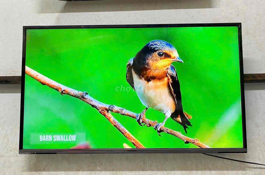 Tivi Panasonic 43 inch Smart TV. Mua bán Tivi, Âm thanh tại Quận Hoàng Mai Hà Nội được đăng bởi Bảo Hiền hình 1