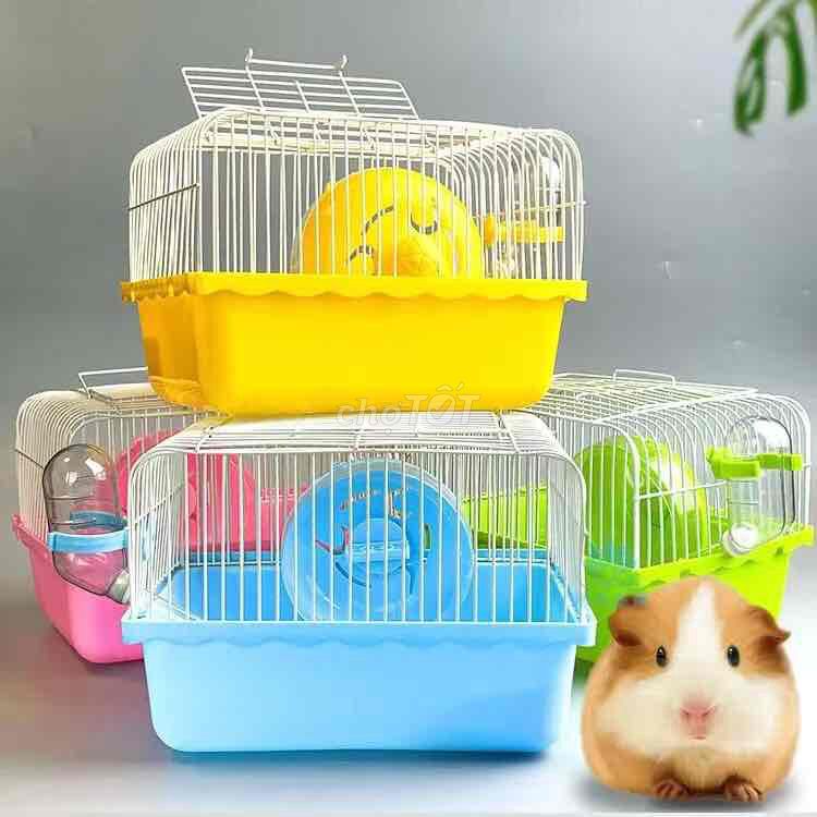 Phụ kiện hamster. Mua bán Phụ kiện, Thức ăn, Dịch vụ tại Quận Cái Răng Cần Thơ được đăng bởi Hammie Heamster hình 2