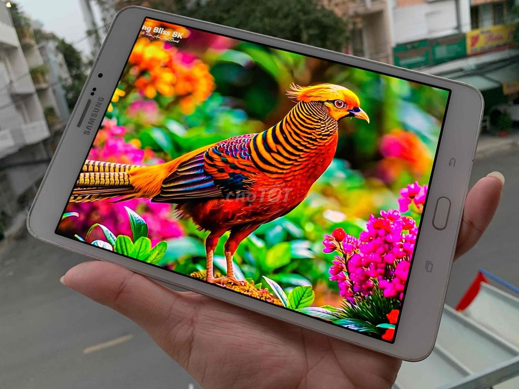 Samsung Tab S2 8in 2K siếu nét, RAM 3GB, Vân Tay