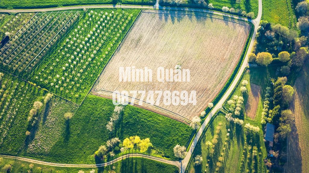 Bán đất ở Tây Ninh , 2970m2 80m thổ cư có sổ