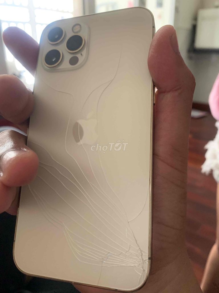 Apple iPhone 12 Pro 128GB Vàng. Mua bán Điện thoại tại Quận 7 Tp Hồ Chí Minh được đăng bởi Vân hình 1