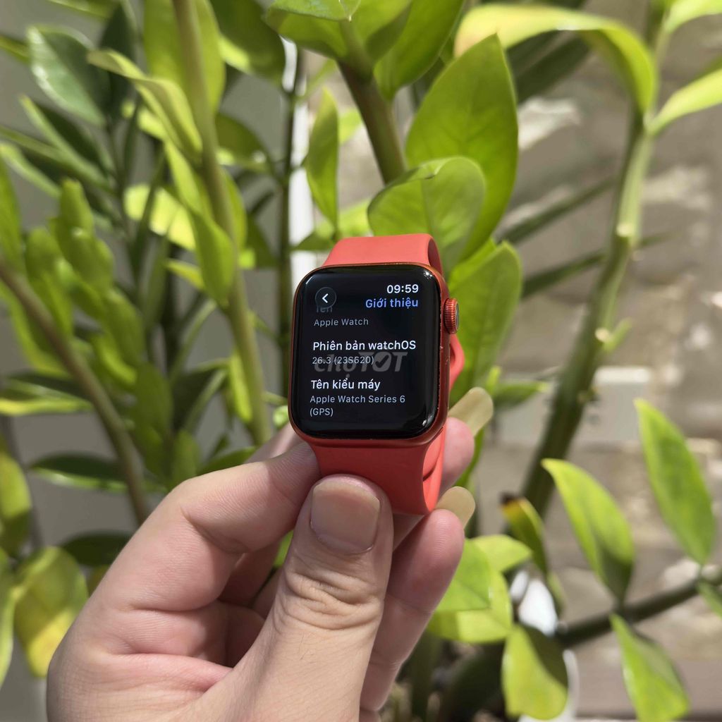 Apple Watch Series 6 40mm Đỏ. Mua bán Thiết bị đeo thông minh tại Quận Hoàng Mai Hà Nội được đăng bởi Nguyễn Lương Quyết hình 1