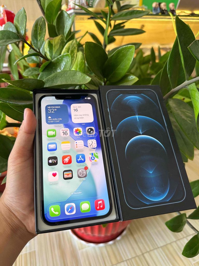 iphone 12prm 512g full zin. Mua bán Điện thoại tại Thành phố Sóc Trăng Sóc Trăng được đăng bởi Tàii Tâyy hình 1