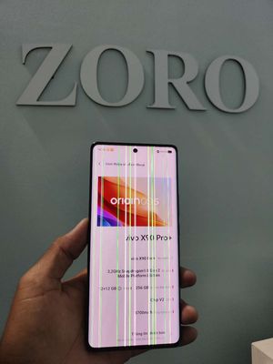 Vivo X90 Pro Plus Ram12 256GB