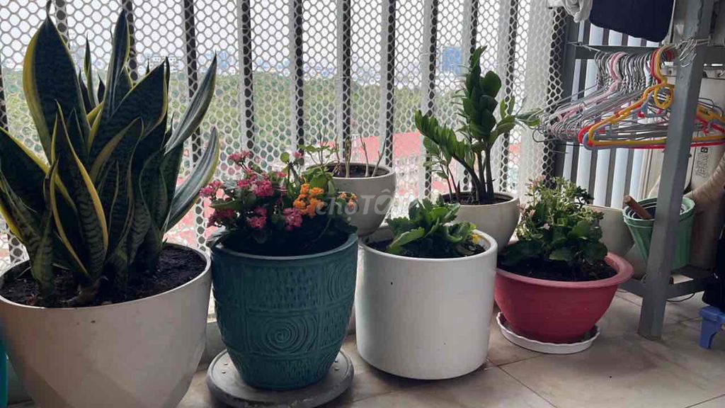 Bán nhà mặt tiền đường Hoàng Văn Thụ, Phường Tân Sơn Nhất - ảnh 3