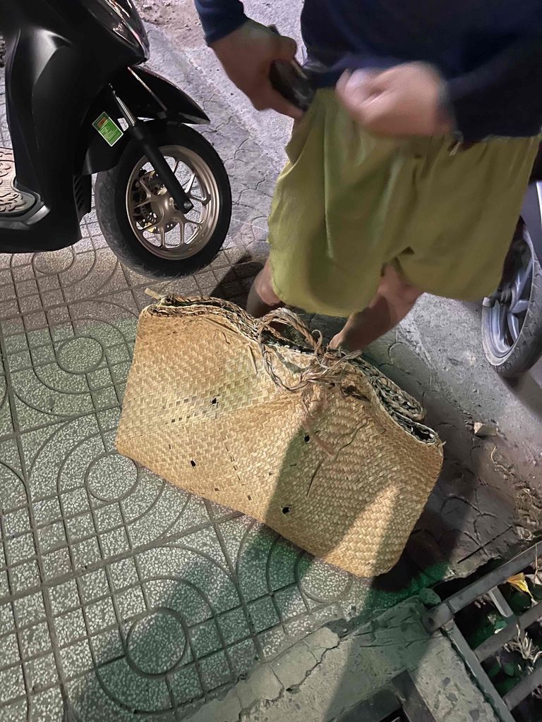 Gà mái 2.4-3kg kiếm m..,u..,a sl nhiều. Mua bán Gà tại Huyện Gò Công Tây Tiền Giang được đăng bởi akira hình 1