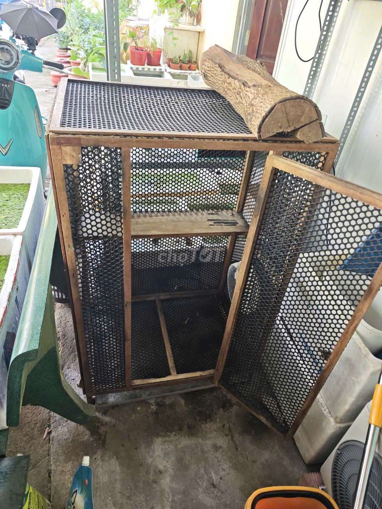 Lồng nuôi Sóc Vẹt Gỗ Lưới. Mua bán Phụ kiện, Thức ăn, Dịch vụ tại Huyện Cần Giuộc Long An được đăng bởi Trung Trường hình 1