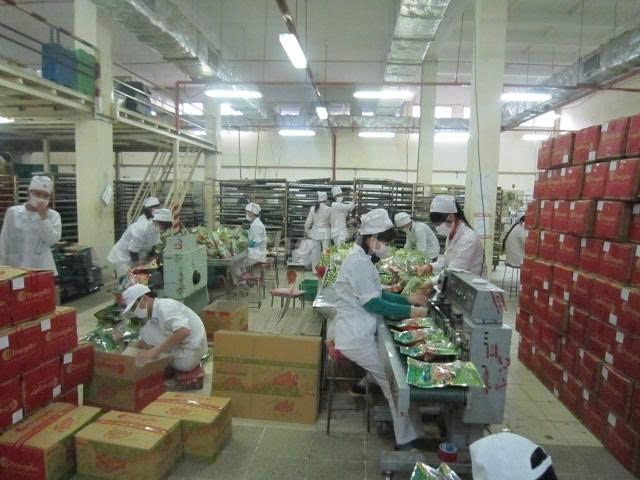 /viec-lam-thanh-pho-thu-duc-tp-ho-chi-minh/123571045.htm#px=SR-stickyad-[PO-13][PL-top]?i=3