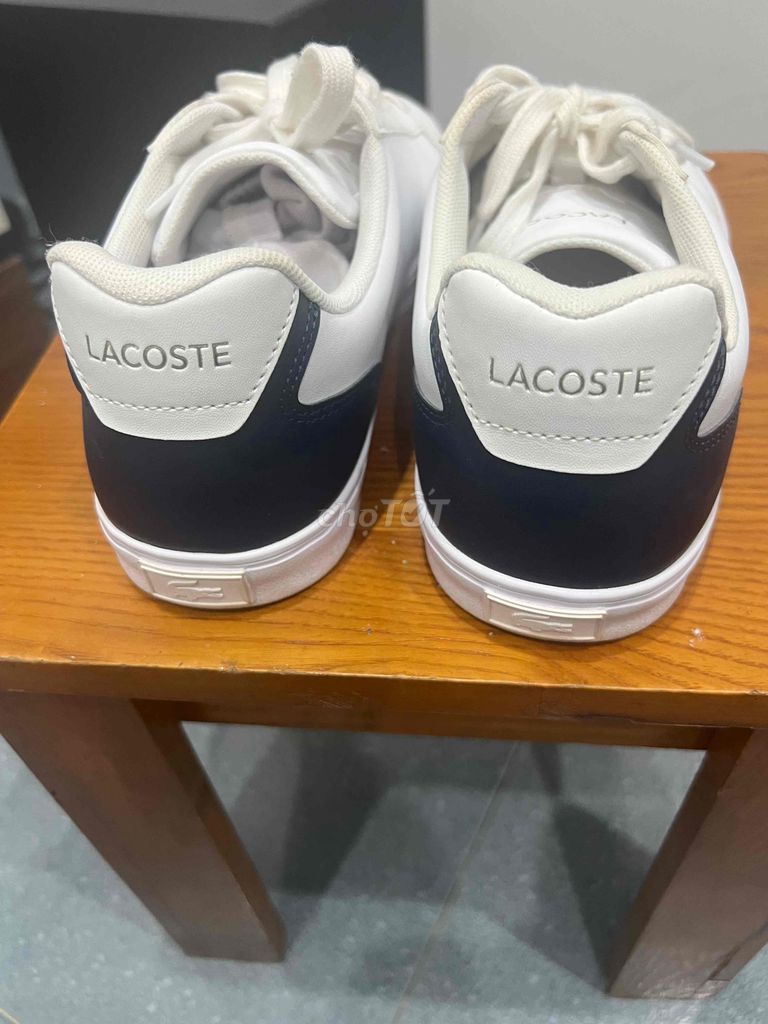 cần ra đi đồi đay lacoste số 43 cho ae cần