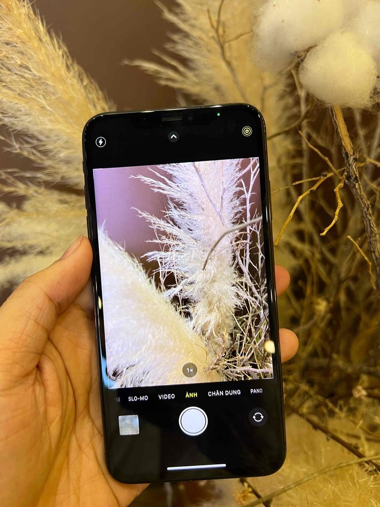 Iphone Xsmax 64gb QT Pin New Đeph 99%🍏. Mua bán Điện thoại tại Thành phố Sa Đéc Đồng Tháp được đăng bởi Tâm hình 1