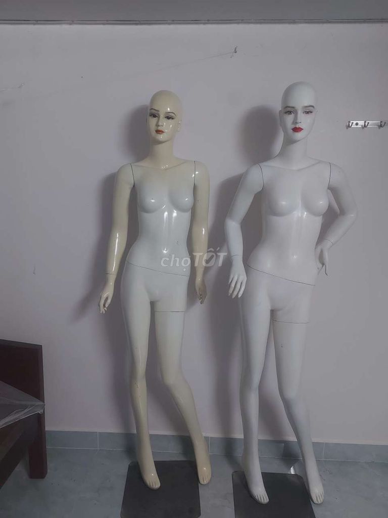 manacanh, manơcanh, ma nơ canh, ma-nơ-canh . Mua bán Đồ chuyên dụng, Giống nuôi trồng tại Quận 7 Tp Hồ Chí Minh được đăng bởi Thanhhuu hình 1