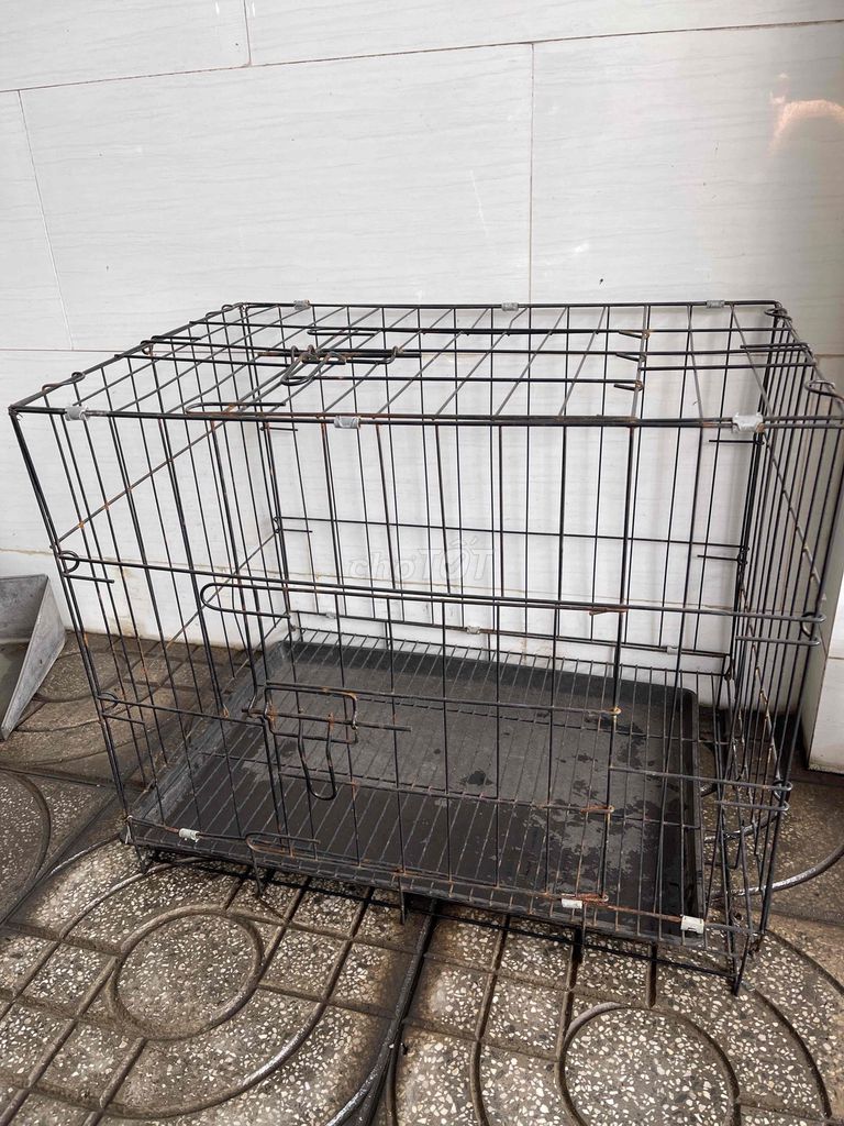 Lồng vận chuyển chó mèo Size M. Mua bán Phụ kiện, Thức ăn, Dịch vụ tại Huyện Trảng Bom Đồng Nai được đăng bởi Mr Trung hình 1