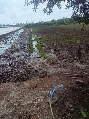 Lộ nhựa 50m mặt tiền điện nước đầy đủ dân cư đông đúc. Mua bán đất tại Huyện Lai Vung Đồng Tháp được đăng bởi Tùng Lê