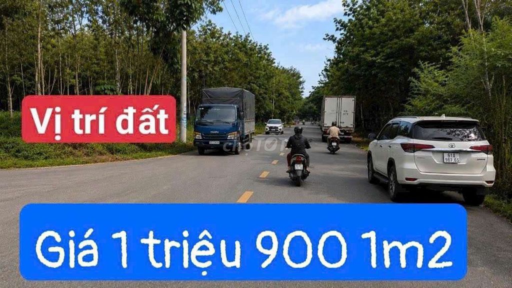 BÁN ĐẤT KCN BÀU BÀNG GIÁ 1 TRIỆU 9 TRÊN 1M2