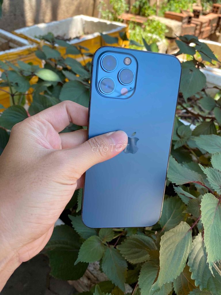 Apple iPhone 12 Pro Max 256GB Xanh. Mua bán Điện thoại tại Thành phố Vũng Tàu Bà Rịa - Vũng Tàu được đăng bởi Luật hình 1