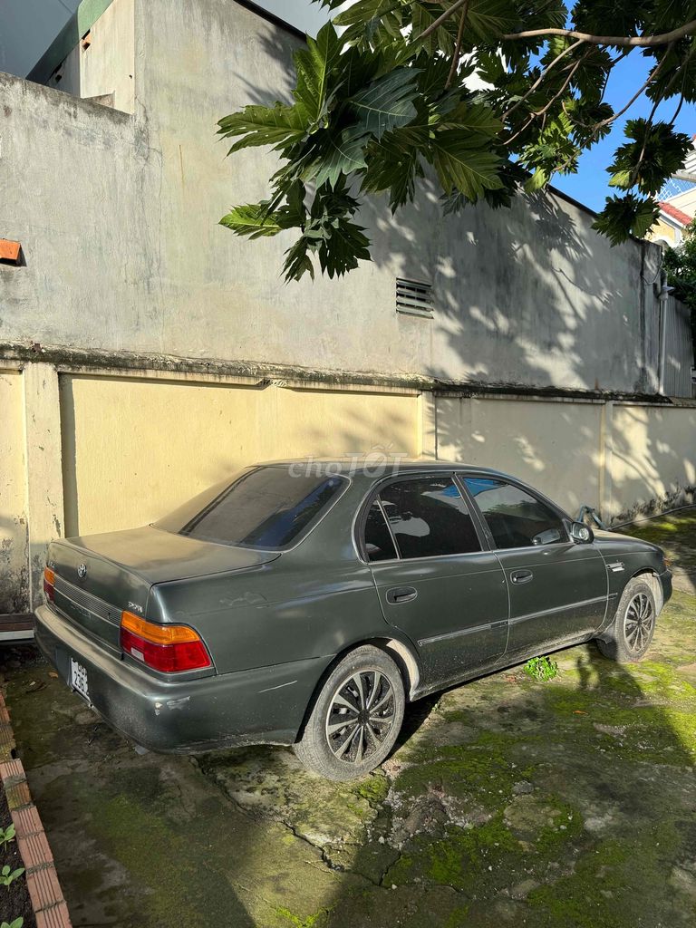 Ảnh số 8