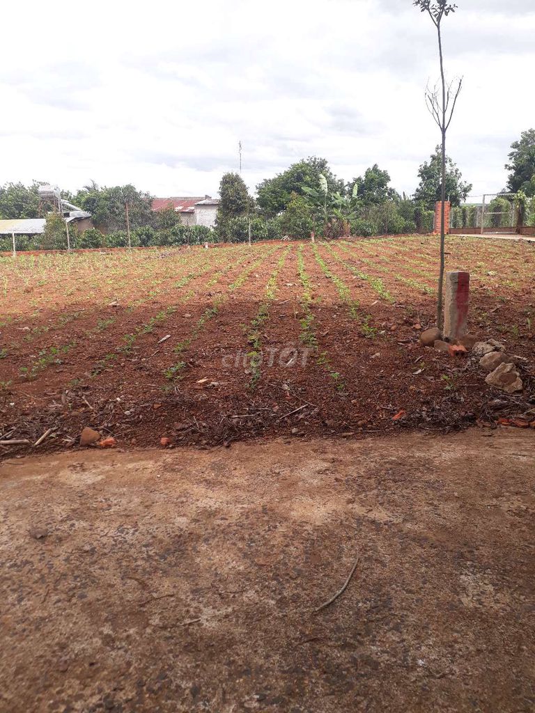 👉HOT: P. Eakao,TC: 60m2_sổ riêng, chưa qua Hồ