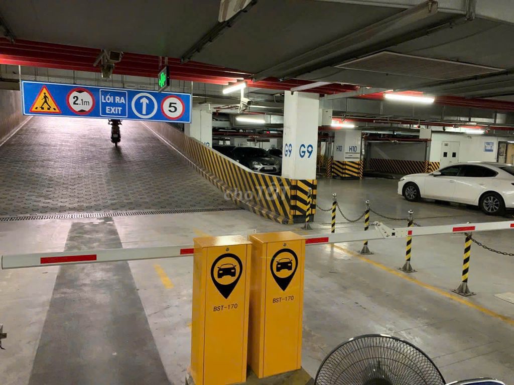 Barrier tự động BST-170 Vàng. Mua bán Đồ chuyên dụng, Giống nuôi trồng tại Quận Hoàng Mai Hà Nội được đăng bởi Miss Mai hình 1
