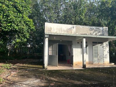 Cần cho thuê căn nhà cấp 4 gần 100m2 sân vườn 600m. Cho thuê nhà ở tại Huyện Đồng Phú Bình Phước được đăng bởi SURFACE VINVIN