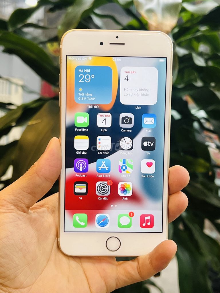 iPhone 6S Plus 32GB Vàng. Mua bán Điện thoại tại Quận Đống Đa Hà Nội được đăng bởi Bảo Táo Store hình 1