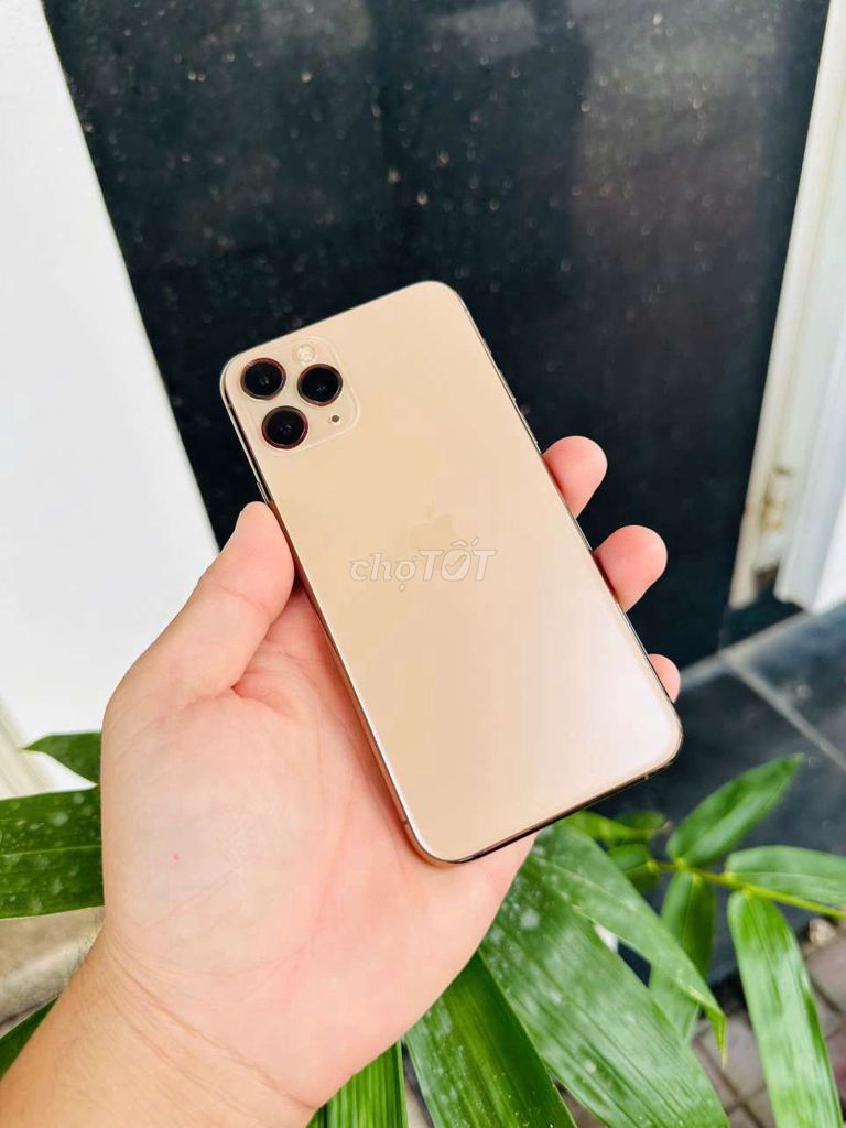 iPhone 11 Pro 64G QT Pin 100% ( Gold ). Mua bán Điện thoại tại Quận Ninh Kiều Cần Thơ được đăng bởi Nhựt Mobile hình 1