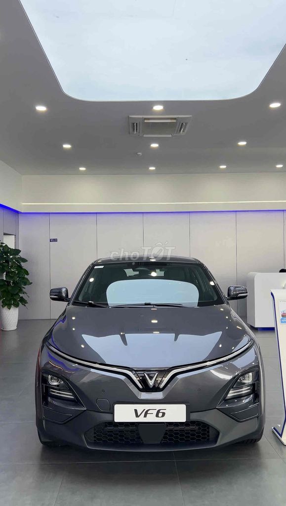 VinFast VF6 экологически чистый серый