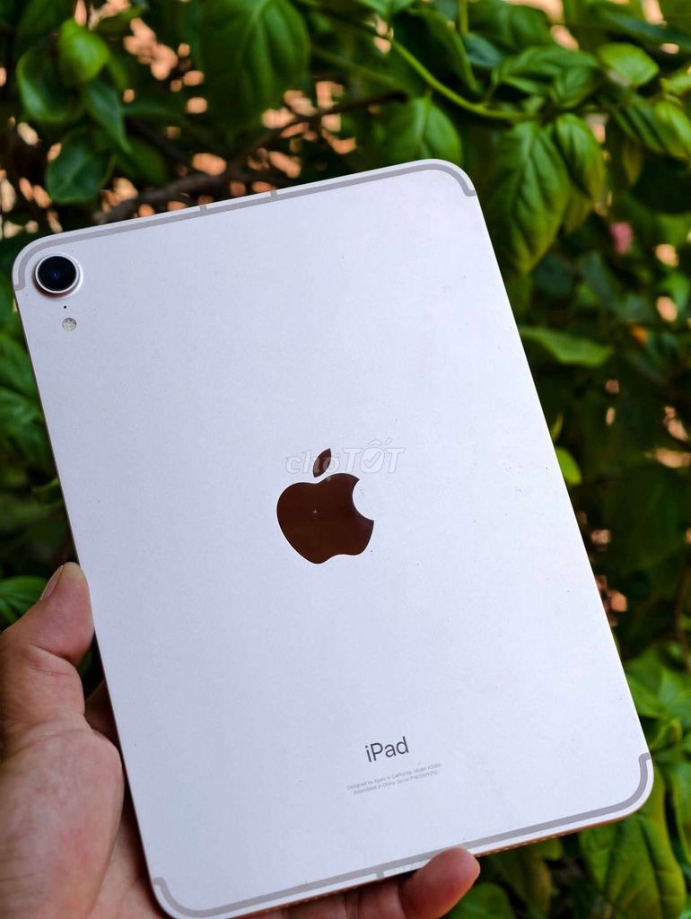 Ipad mini 6 (256 5G). Mua bán Máy tính bảng tại Thị xã Phổ Yên Thái Nguyên được đăng bởi Nguyễn Mạnh Hoàn hình 1