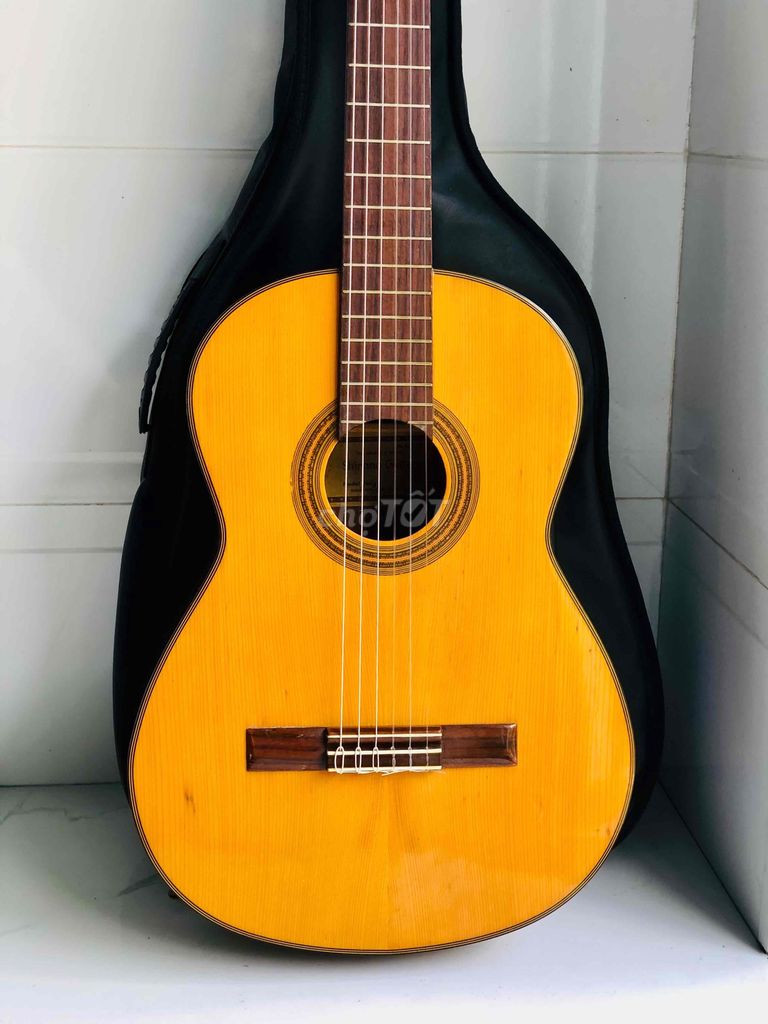 Guitar Classic Nhật Shinano No.31