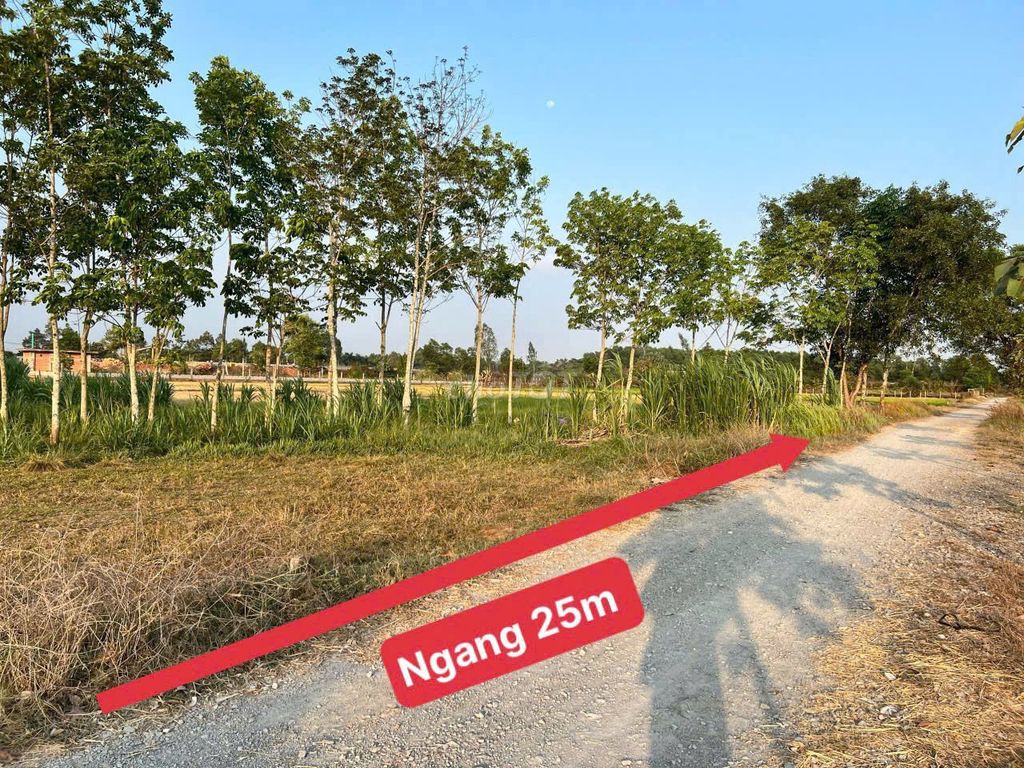 131m2(gần full thổ cư), xã Phước Hiệp, SHR, 495tr( giá thật)