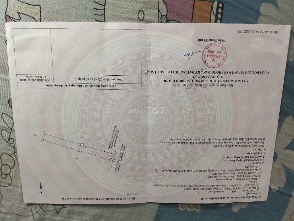 Bán đất chính chủ