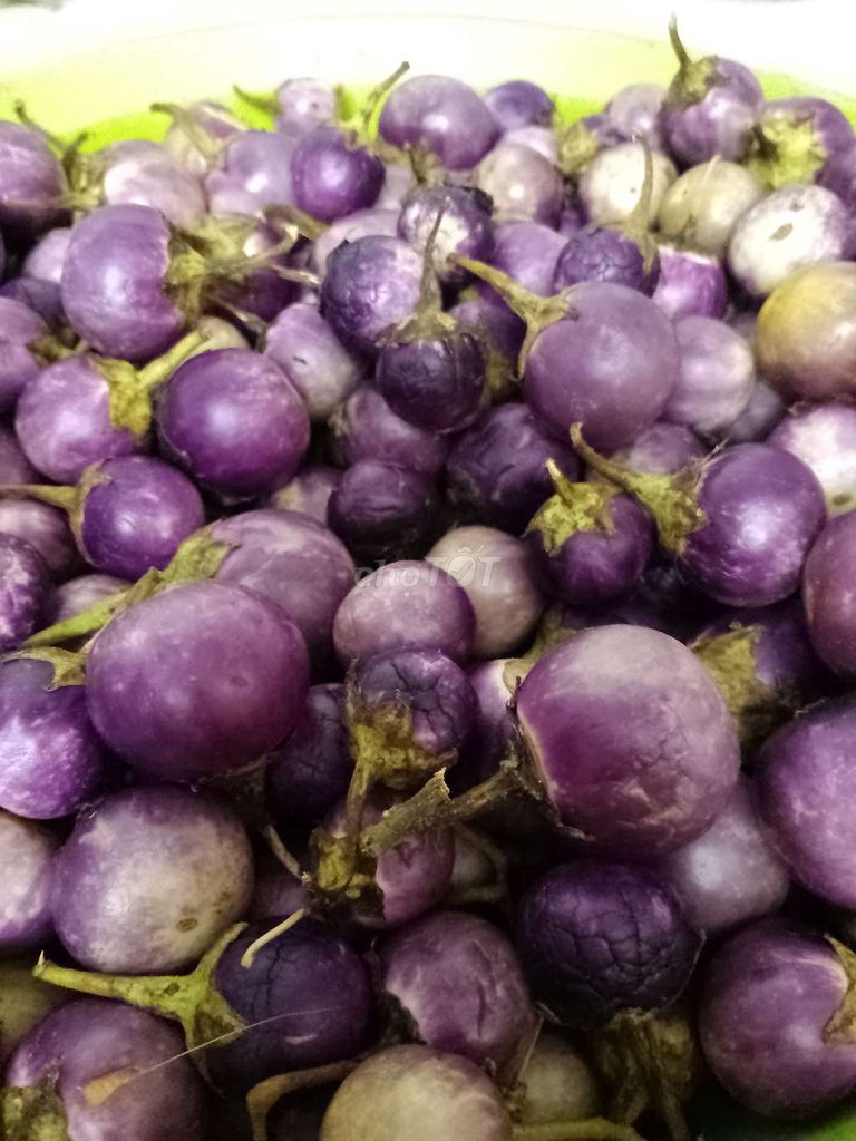 Cà tím muối chua Tươi Tím nữa kg. Mua bán Đồ ăn, thực phẩm và các loại khác tại Quận 10 Tp Hồ Chí Minh được đăng bởi Vy hình 1
