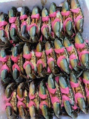 Cua Cà Mau HCM. Mua bán Đồ ăn, thực phẩm và các loại khác tại Quận Bình Tân Tp Hồ Chí Minh được đăng bởi Phan Thi Ngoc Trang