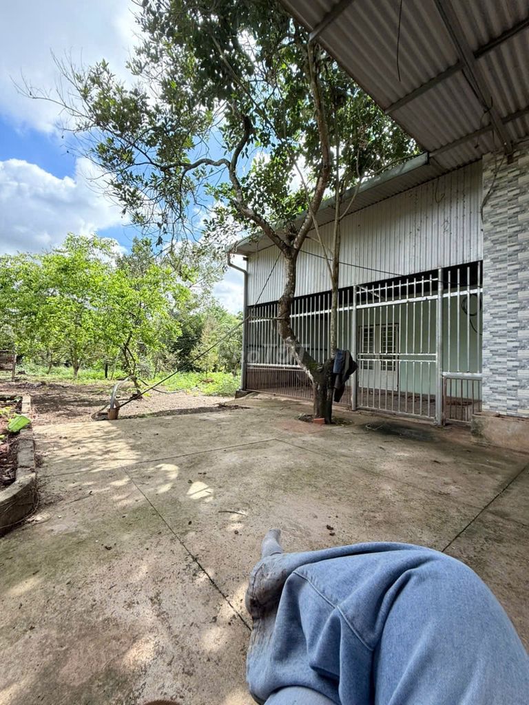 Bán đất 3792m2  ĐT 770B, xã Dầu Giây, kế bên là KCN Xuân Quế Sông Nhạn. Mua bán đất tại Huyện Thống Nhất Đồng Nai được đăng bởi Sơn Đồng Nai hình 3