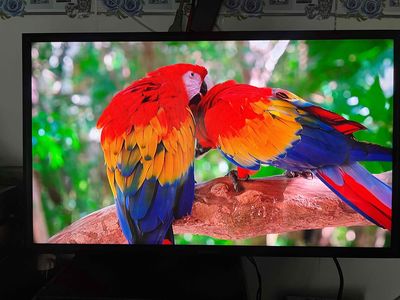 tivi samsung. Mua bán Tivi, Âm thanh tại Thành phố Thuận An Bình Dương được đăng bởi duyanh