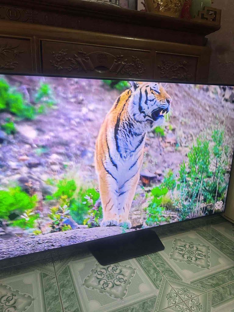 Tivi Samsung Q55Q80CAK. Mua bán Tivi, Âm thanh tại Quận Lê Chân Hải Phòng được đăng bởi santafe hình 1