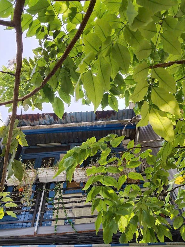 Дом целиком на улице Во Ван Кит, 7-й квартал, 6-й округ