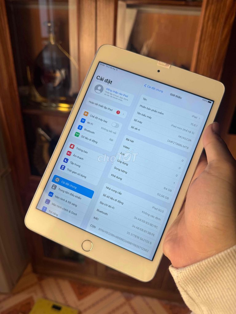 iPad Mini 5 64gb 4g silver