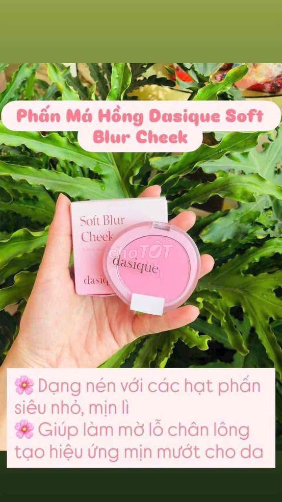 Phấn má hồng Dasique Soft Blur Cheek. Mua bán Phụ kiện thời trang khác tại Quận 10 Tp Hồ Chí Minh được đăng bởi Baby Girl Lovely hình 1